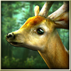 Forest HD v1.6.1