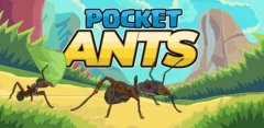 Ant Colony – Simulator